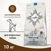 Ветеринарная диета CRAFTIA GALENA DOG GASTROINTESTINAL CARE Гастроинтестинал для собак при заболеваниях ЖКТ 10 кг — фото 3