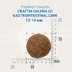 Ветеринарная диета CRAFTIA GALENA DOG GASTROINTESTINAL CARE Гастроинтестинал для собак при заболеваниях ЖКТ 2 кг — фото 4
