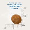 Ветеринарная диета CRAFTIA GALENA DOG HEPATIC CARE Гепатик для собак при заболеваниях печени 2 кг — фото 4