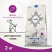 Ветеринарная диета CRAFTIA GALENA DOG HEPATIC CARE Гепатик для собак при заболеваниях печени 2 кг — фото 3
