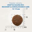 Ветеринарная диета CRAFTIA GALENA DOG RECOVERY&CONVALESCENCE CARE РекавериэндКонвалесенс для собак поддержка в период восстановления и реабилитаци 10к — фото 4