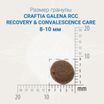 Ветеринарная диета CRAFTIA GALENA CAT RECOVERY&CONVALESCENCE CARE Рекавери энд Конвалесенс д/кошек поддерж. в период восстановления/реабилитации 1,4кг — фото 4