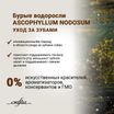Сухой корм CRAFTIA NATURA для взрослых собак средних и крупных пород из курицы и индейки 2 кг — фото 8