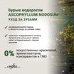 Сухой корм CRAFTIA HARMONA для стерилизованных кошек из утки и индейки 4,5 кг — фото 6
