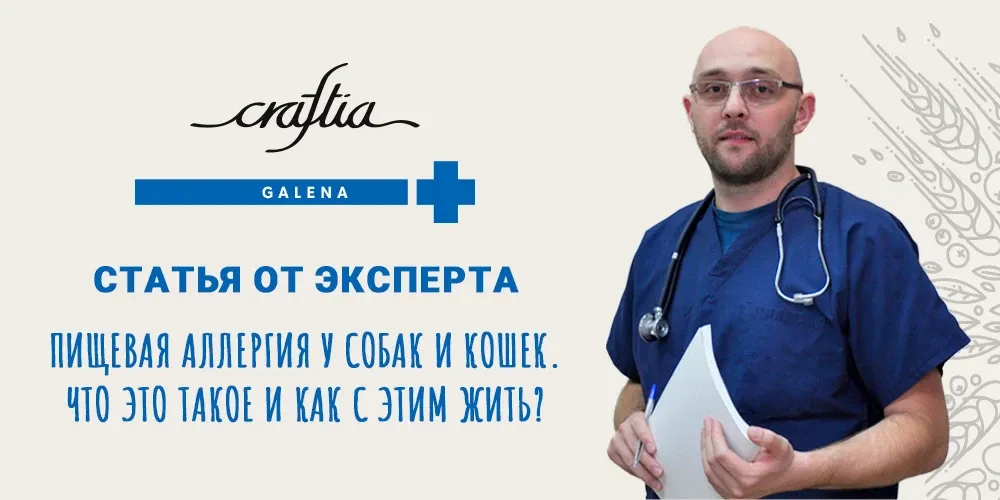 Craftia Galena: статья от эксперта о пищевой аллергии у собак и кошек