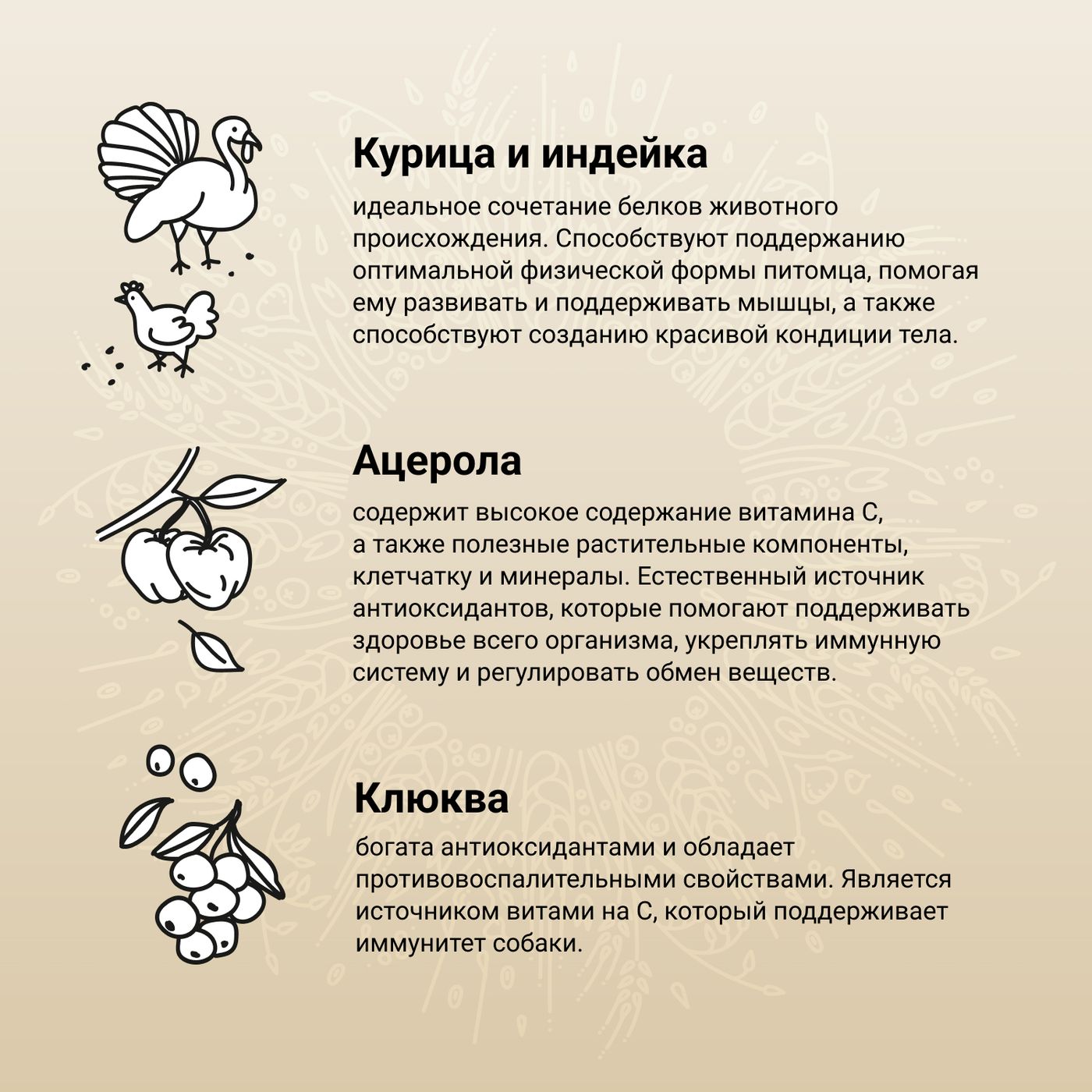 Сухой корм CRAFTIA NATURA для щенков миниатюрных и мелких пород из курицы и индейки 640 г — фото 4