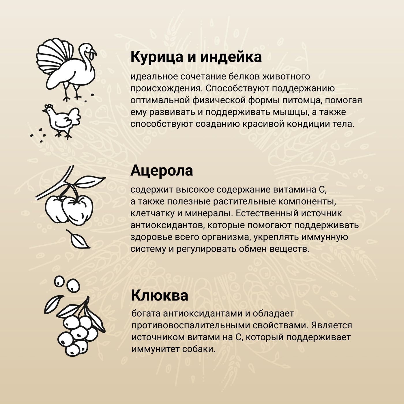 Сухой корм CRAFTIA NATURA для взрослых собак миниатюрных и мелких пород из курицы и индейки 7 кг — фото 4