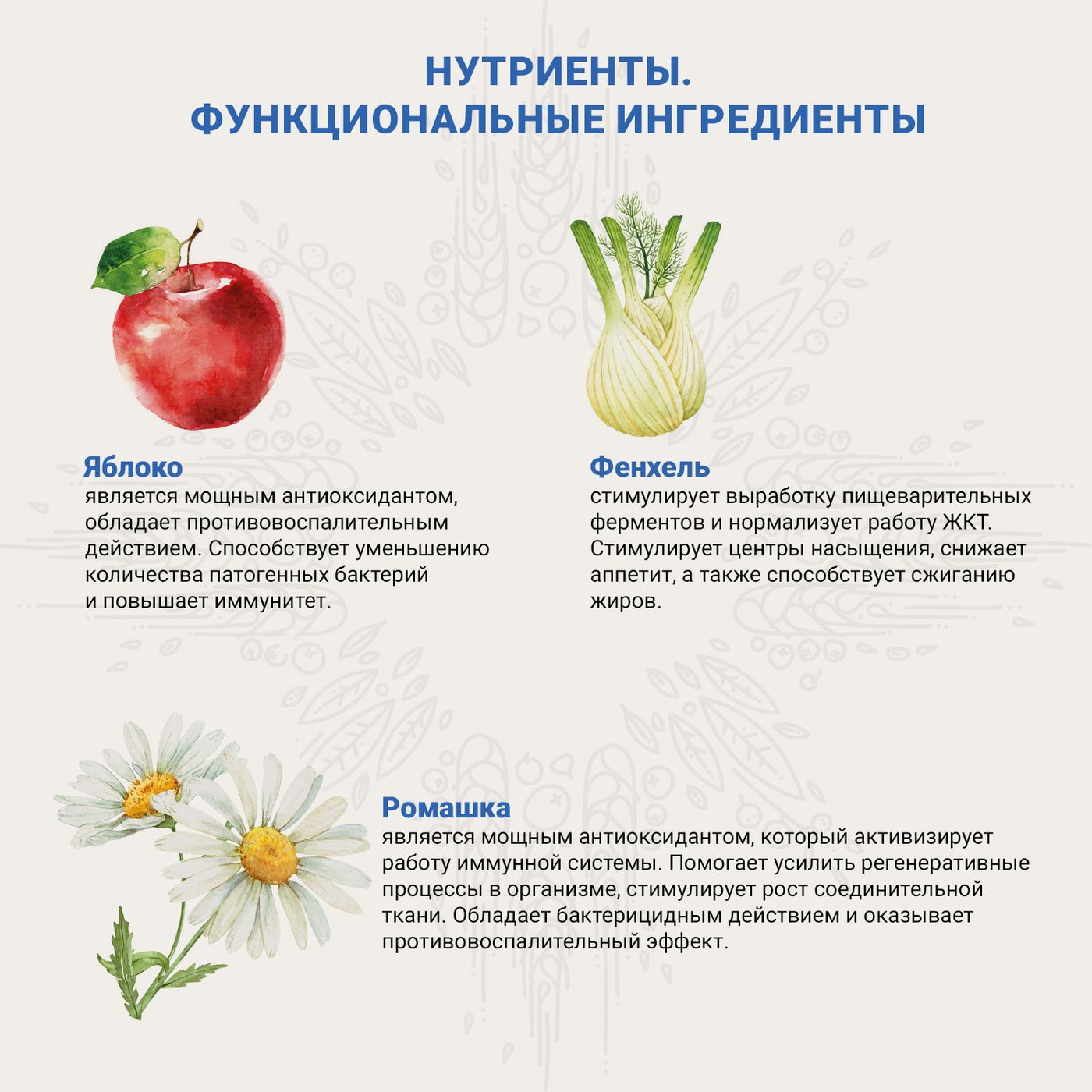 Ветеринарная диета CRAFTIA GALENA DOG RECOVERY&CONVALESCENCE CARE РекавериэндКонвалесенс для собак поддержка в период восстановления и реабилитаци 10к — фото 7