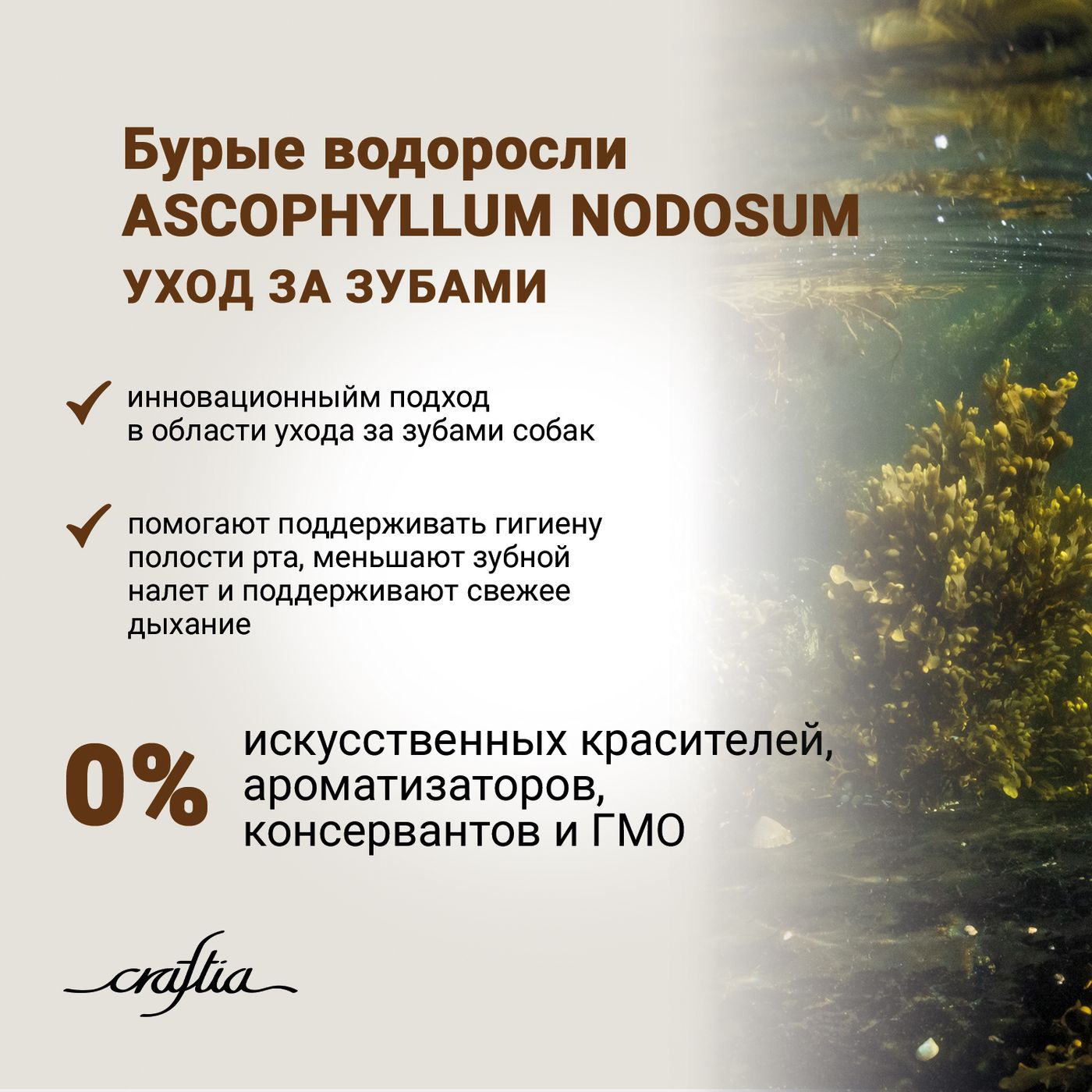 Сухой корм CRAFTIA NATURA для щенков миниатюрных и мелких пород из лосося с сельдью 640 г — фото 8