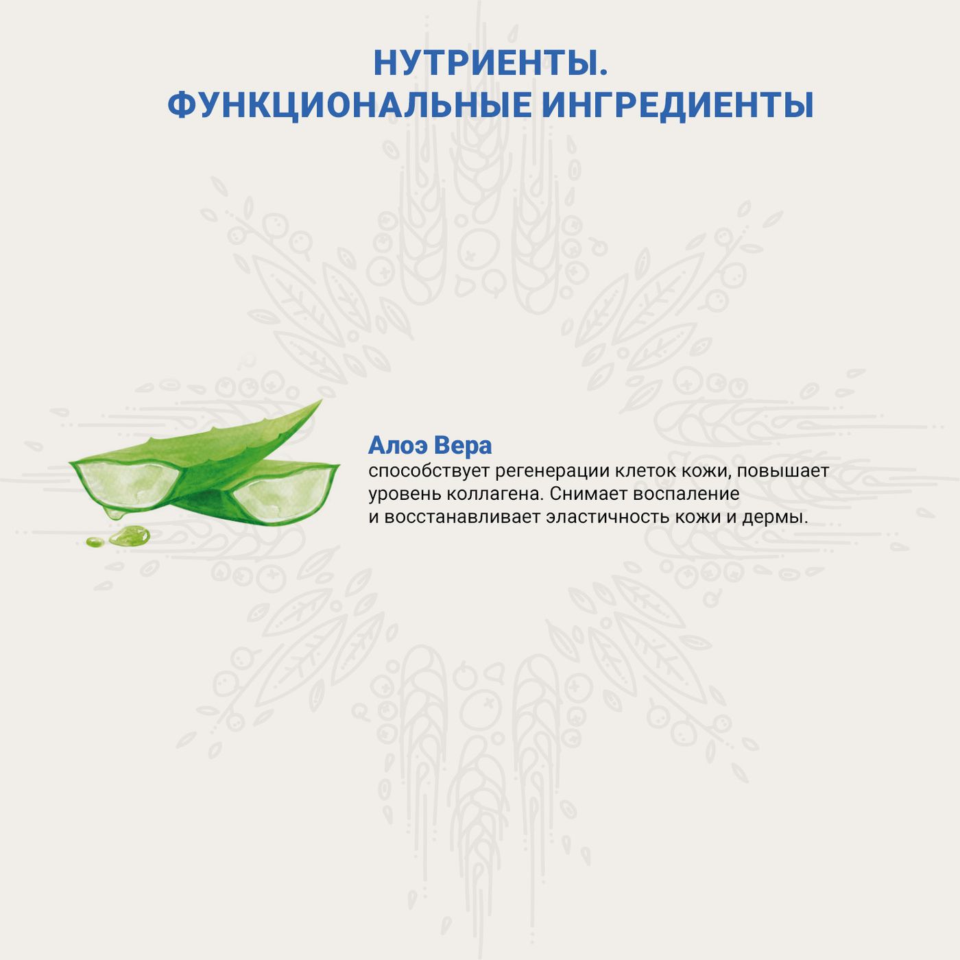 Ветеринарная диета CRAFTIA GALENA DOG HYPOALLERGENIC DERM CARE Гипоаллердженик для собак при пищевой аллергии и заболеваниях кожи 2 кг — фото 7