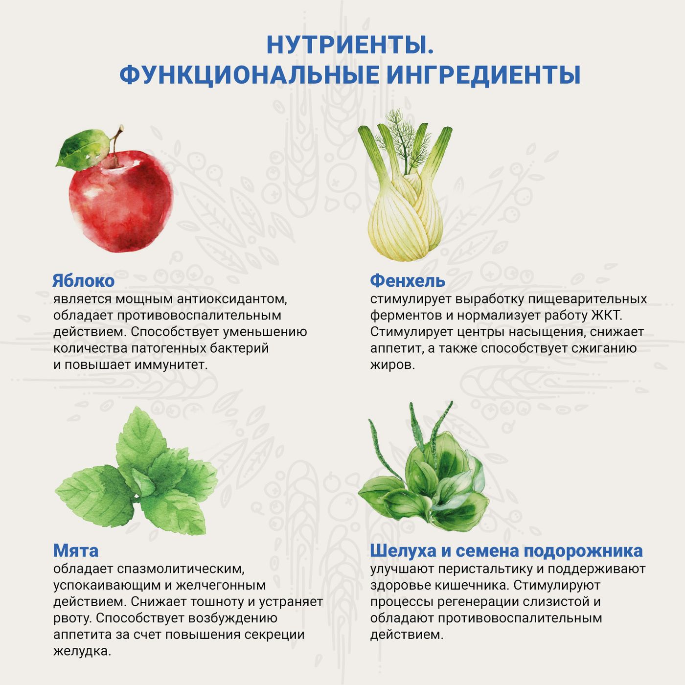 Ветеринарная диета CRAFTIA GALENA CAT GASTROINTESTINAL CARE Гастроинтестинал для кошек при заболеваниях ЖКТ 4,5 кг — фото 7