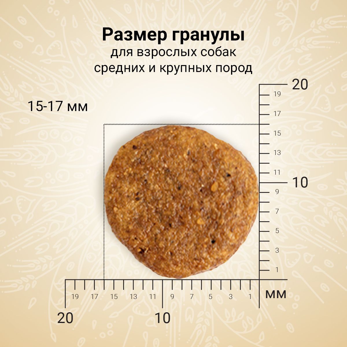 Сухой корм CRAFTIA NATURA для взрослых собак средних и крупных пород из курицы и индейки 640 г — фото 5