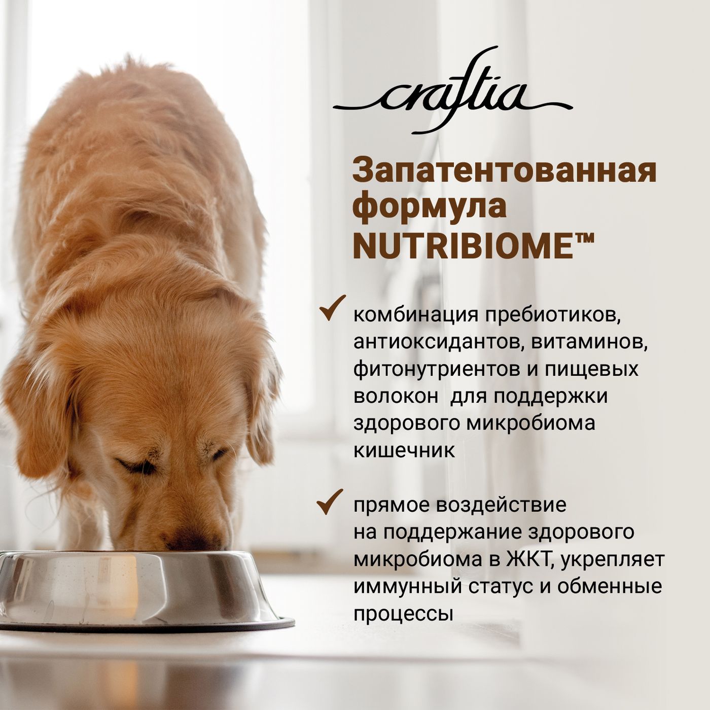 Сухой корм CRAFTIA NATURA для взрослых собак миниатюрных и мелких пород из утки с фазаном 2 кг — фото 7
