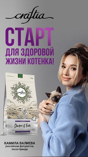Камила Валиева, старт для здоровой жизни котенка